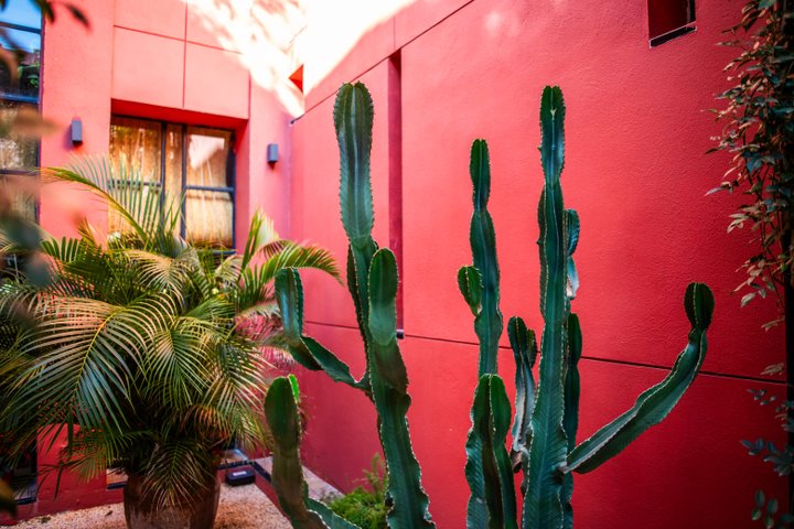 HOTEL LOS SEISES - SEVILLA