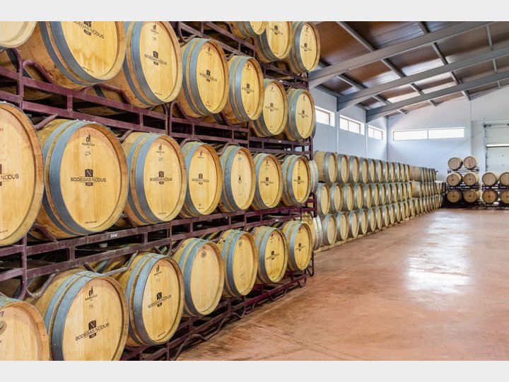 Bodegas Nodus