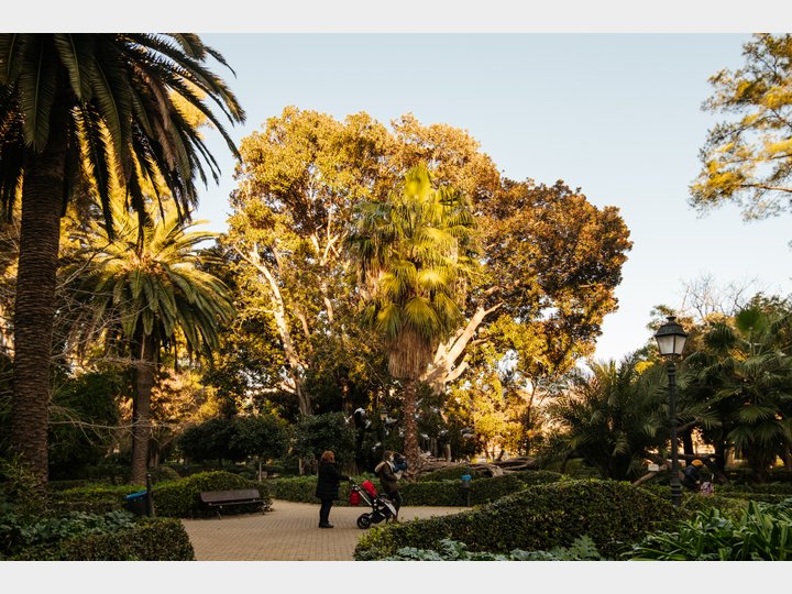 JARDÍN DE AYORA