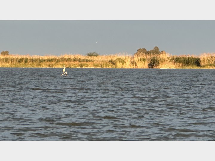 Google Drive Photo