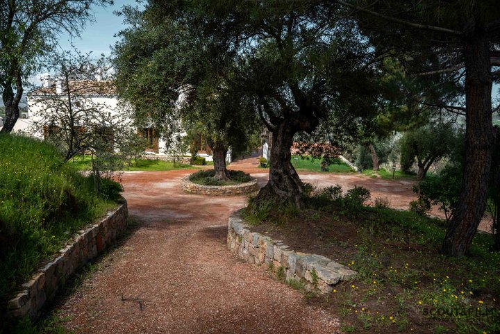 LA ALMAZARA - FINCA RURAL