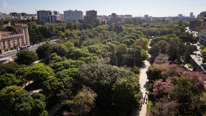 JARDINES DEL TURIA