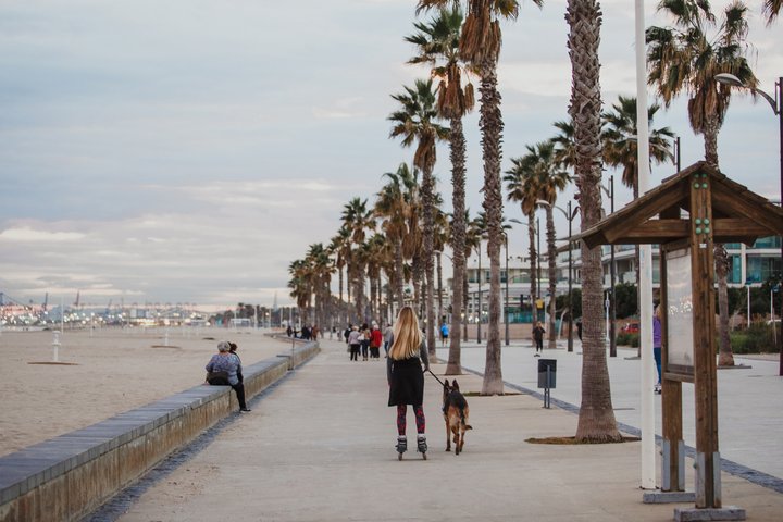 Playa PATACONA. Alboraya