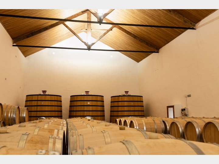 Bodegas Nodus