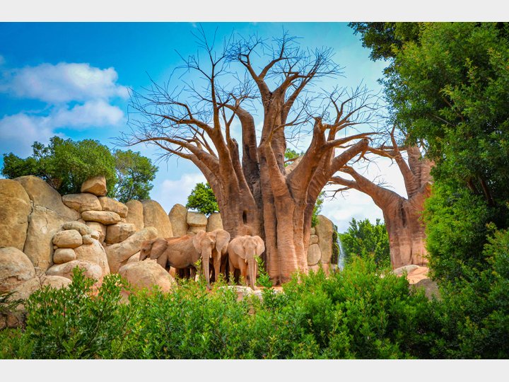 BIOPARC