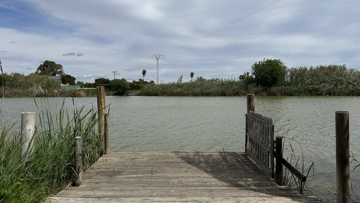 Google Drive Photo