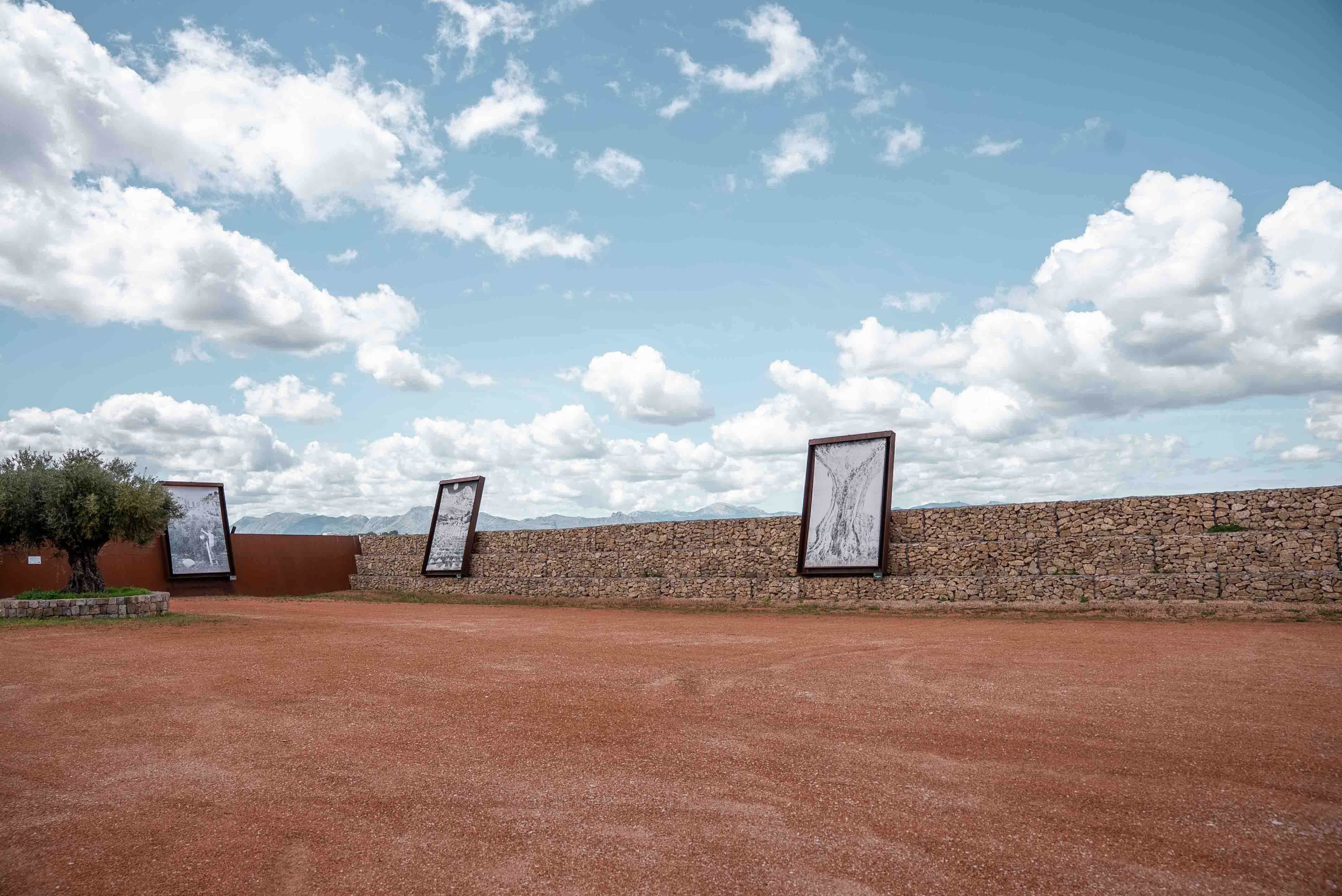 LA ALMAZARA - GREENHOUSE Y PARKING