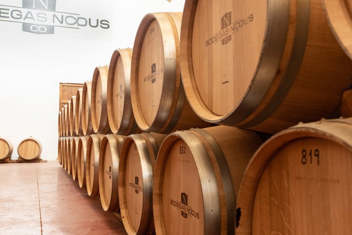 Bodegas Nodus