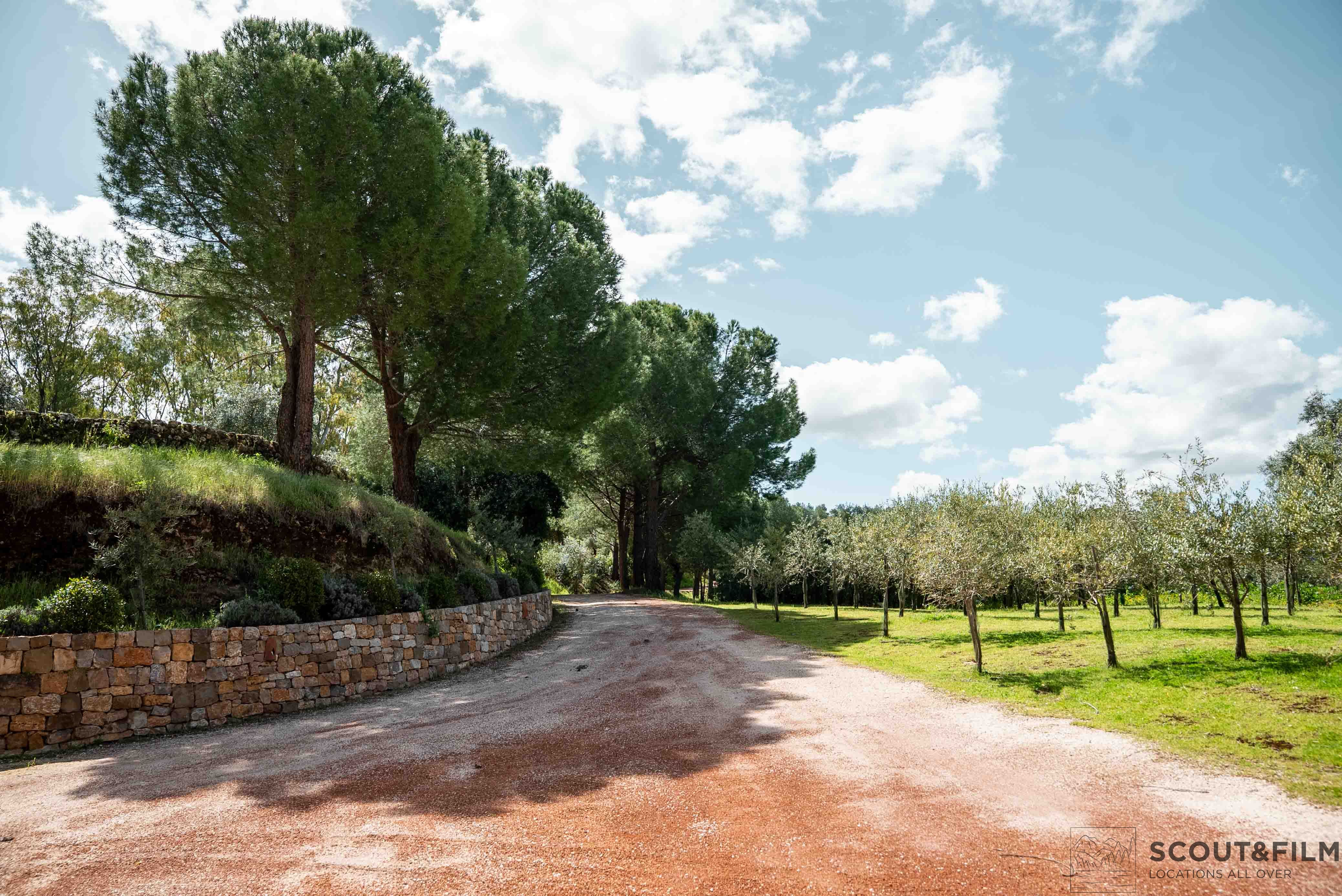 LA ALMAZARA - FINCA RURAL