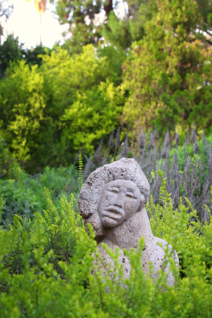 JARDÍN BOTÁNICO