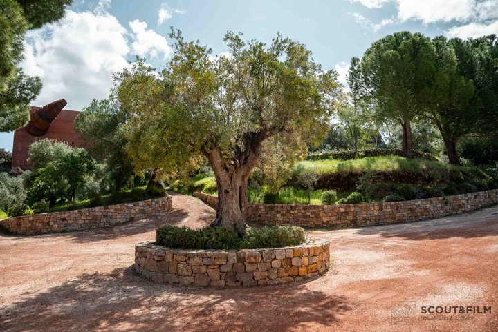 LA ALMAZARA - FINCA RURAL
