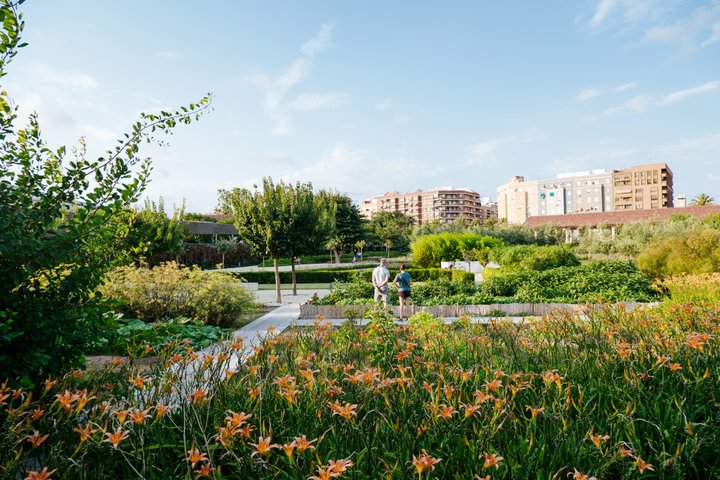PARQUE CENTRAL.