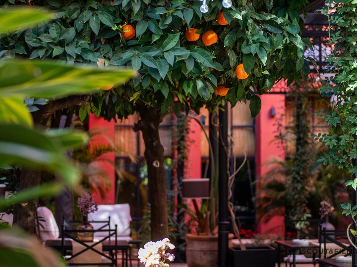 RESTAURANTE EL PATIO DEL PALI - SEVILLA