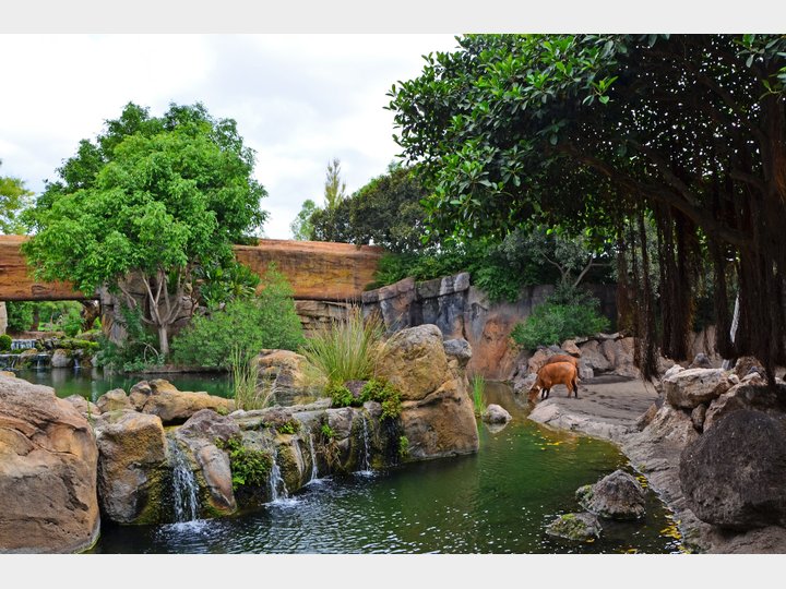 BIOPARC