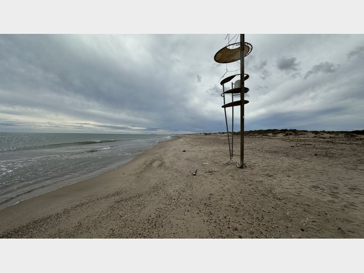 Google Drive Photo