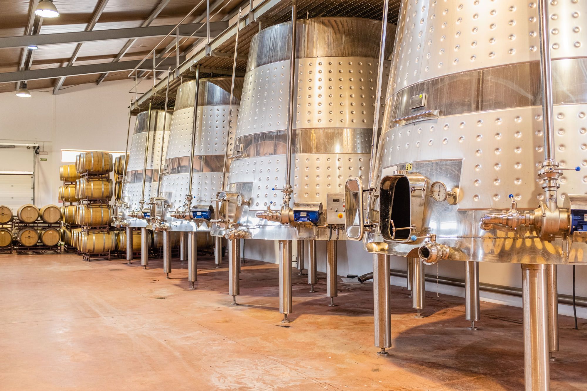 Bodegas Nodus