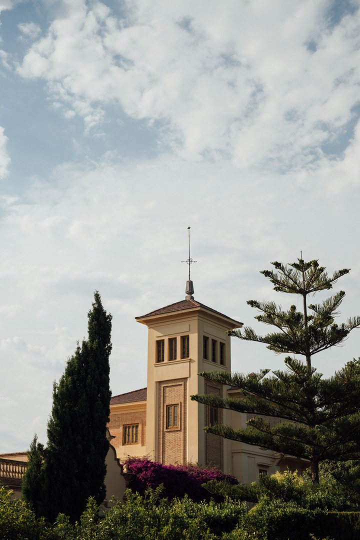 HUERTO SAN VICENTE