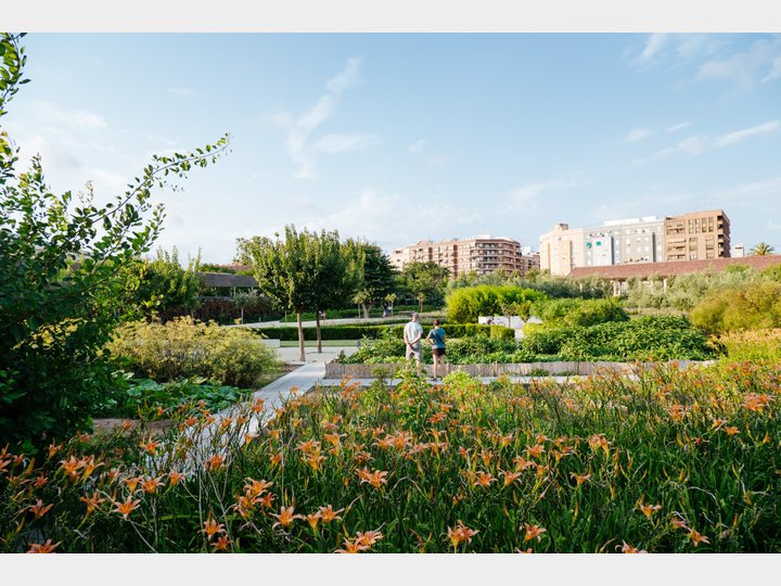 PARQUE CENTRAL.