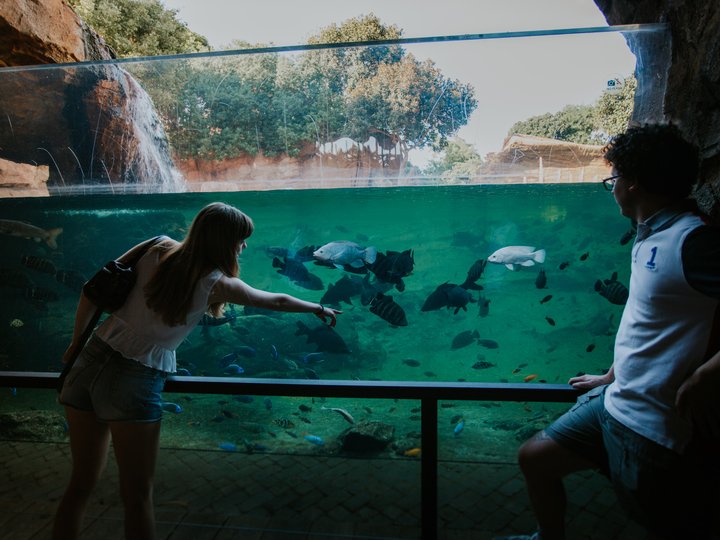 BIOPARC