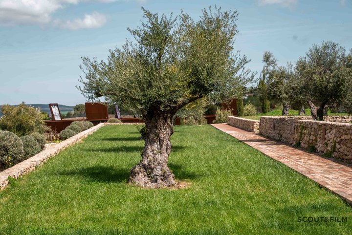 LA ALMAZARA - GREENHOUSE Y PARKING