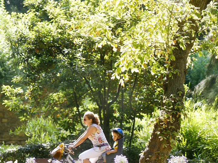 JARDÍN DE AYORA