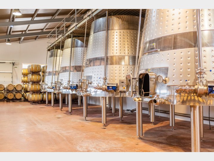 Bodegas Nodus