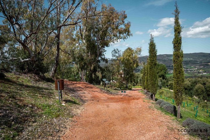 LA ALMAZARA - FINCA RURAL