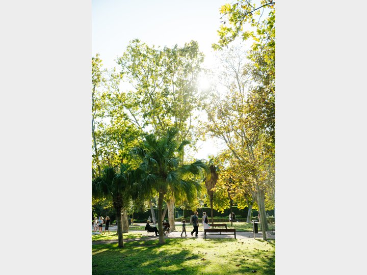 JARDINES DEL REAL/VIVEROS