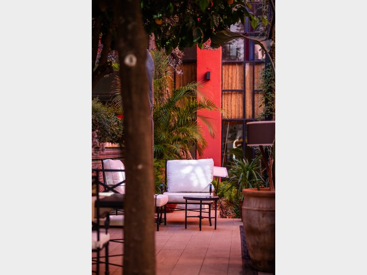 RESTAURANTE EL PATIO DEL PALI - SEVILLA