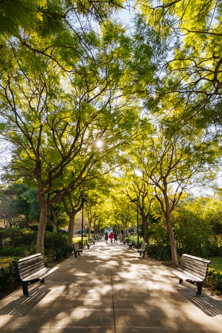 JARDÍN DE POLÍFILO. CAMPANAR