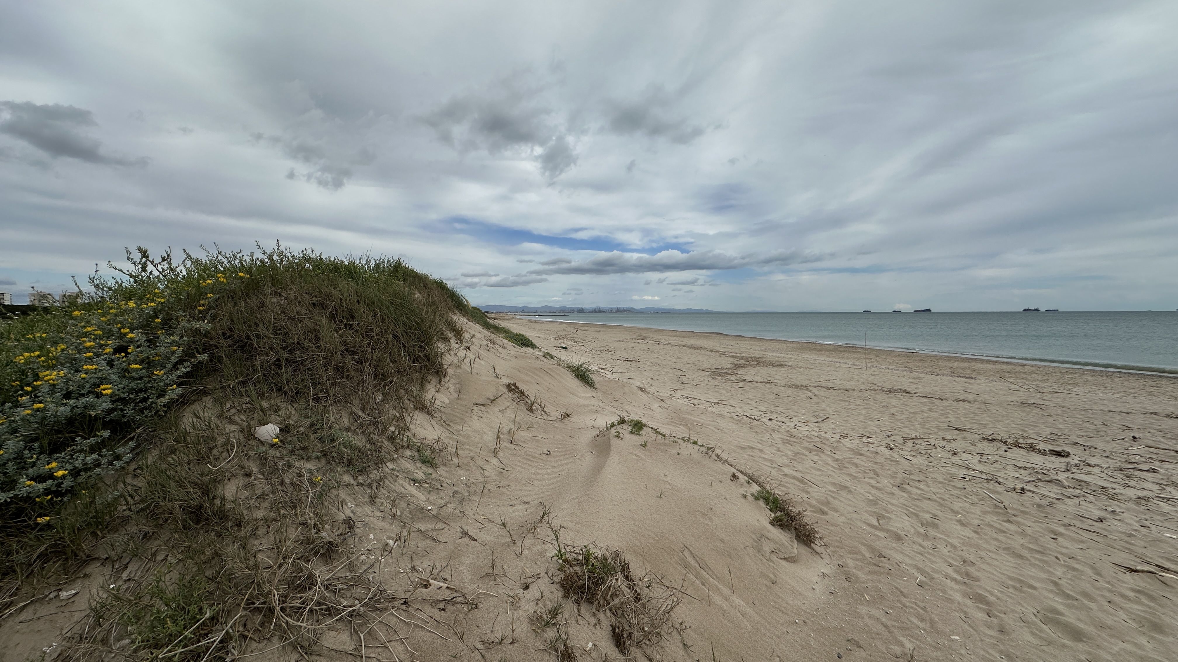 Google Drive Photo