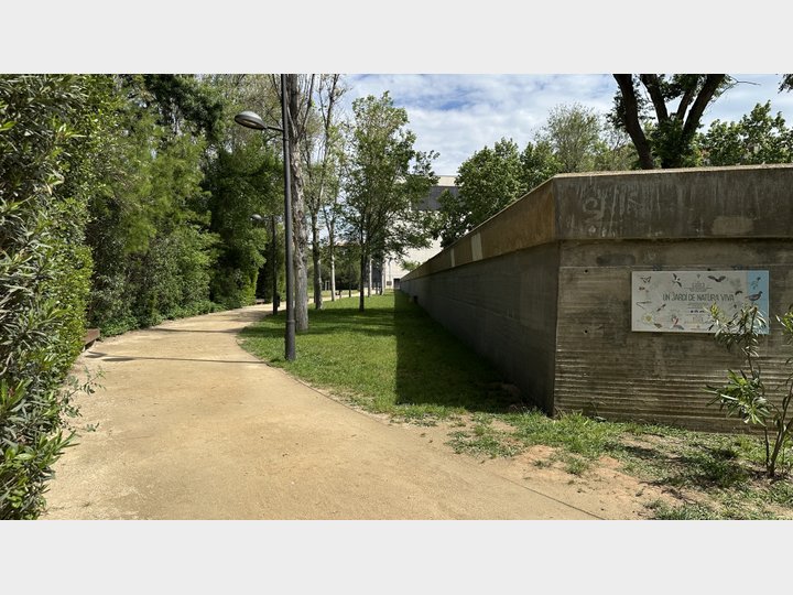 Google Drive Photo