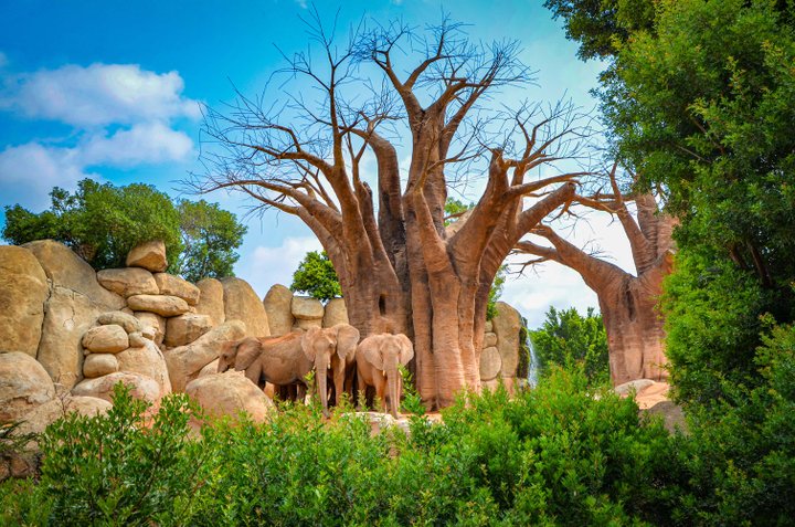 BIOPARC