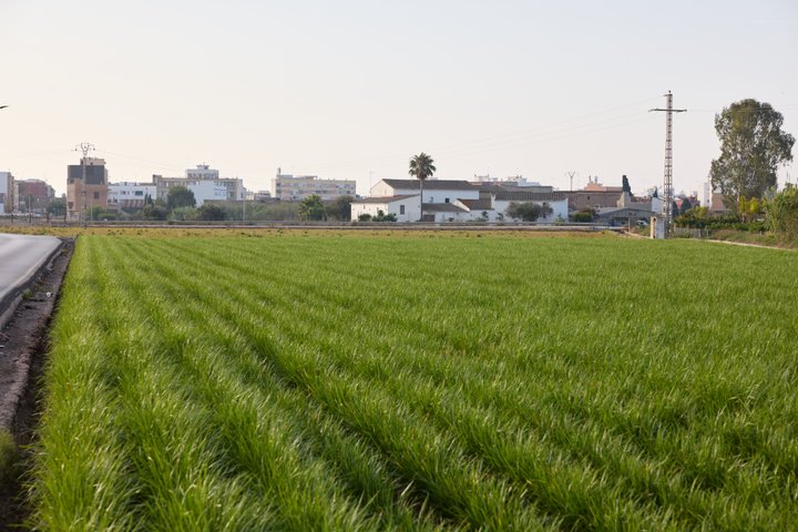 L'Horta de Valencia