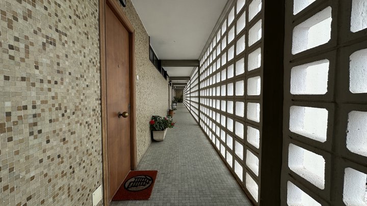 Google Drive Photo