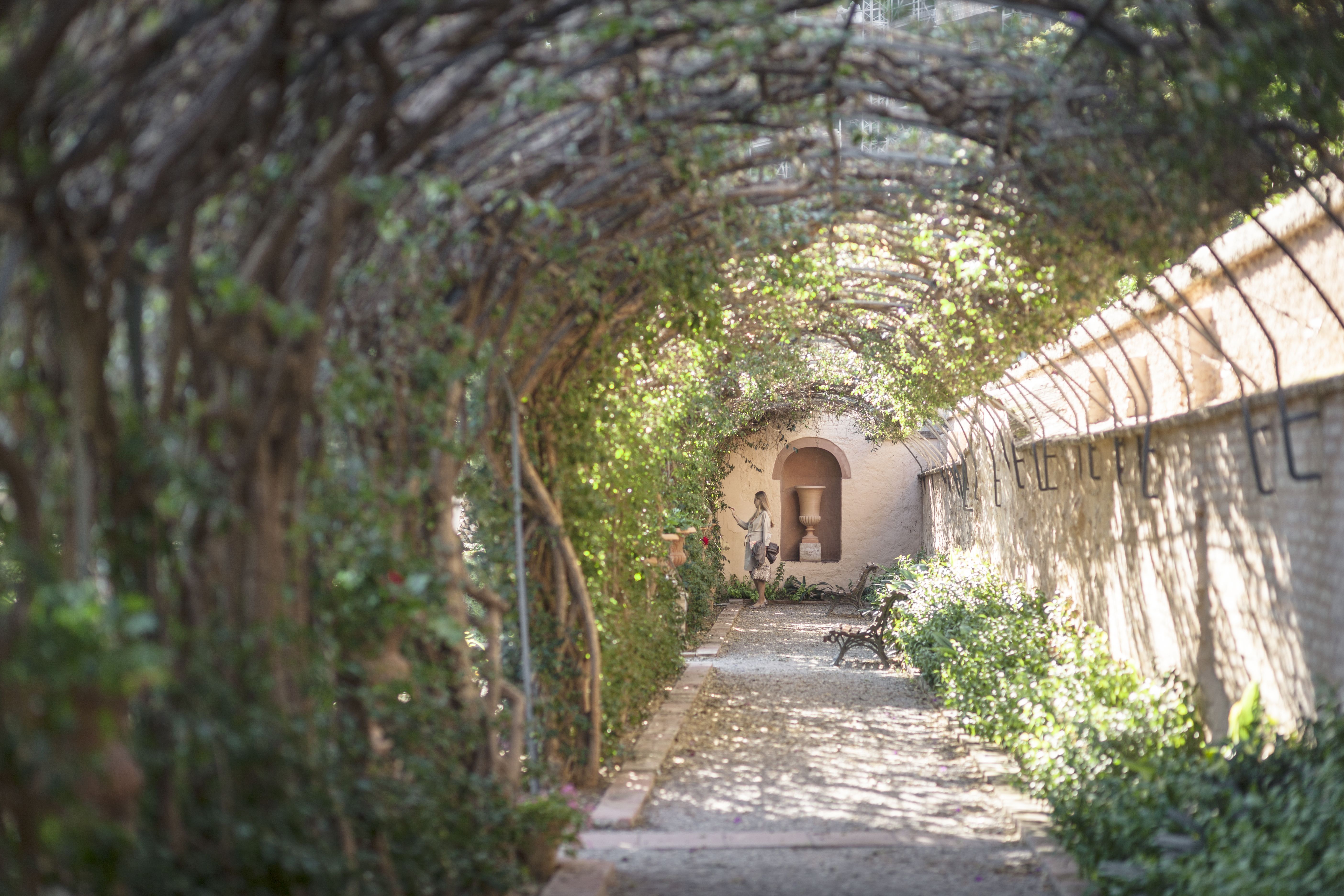 JARDINES DE MONFORTE.