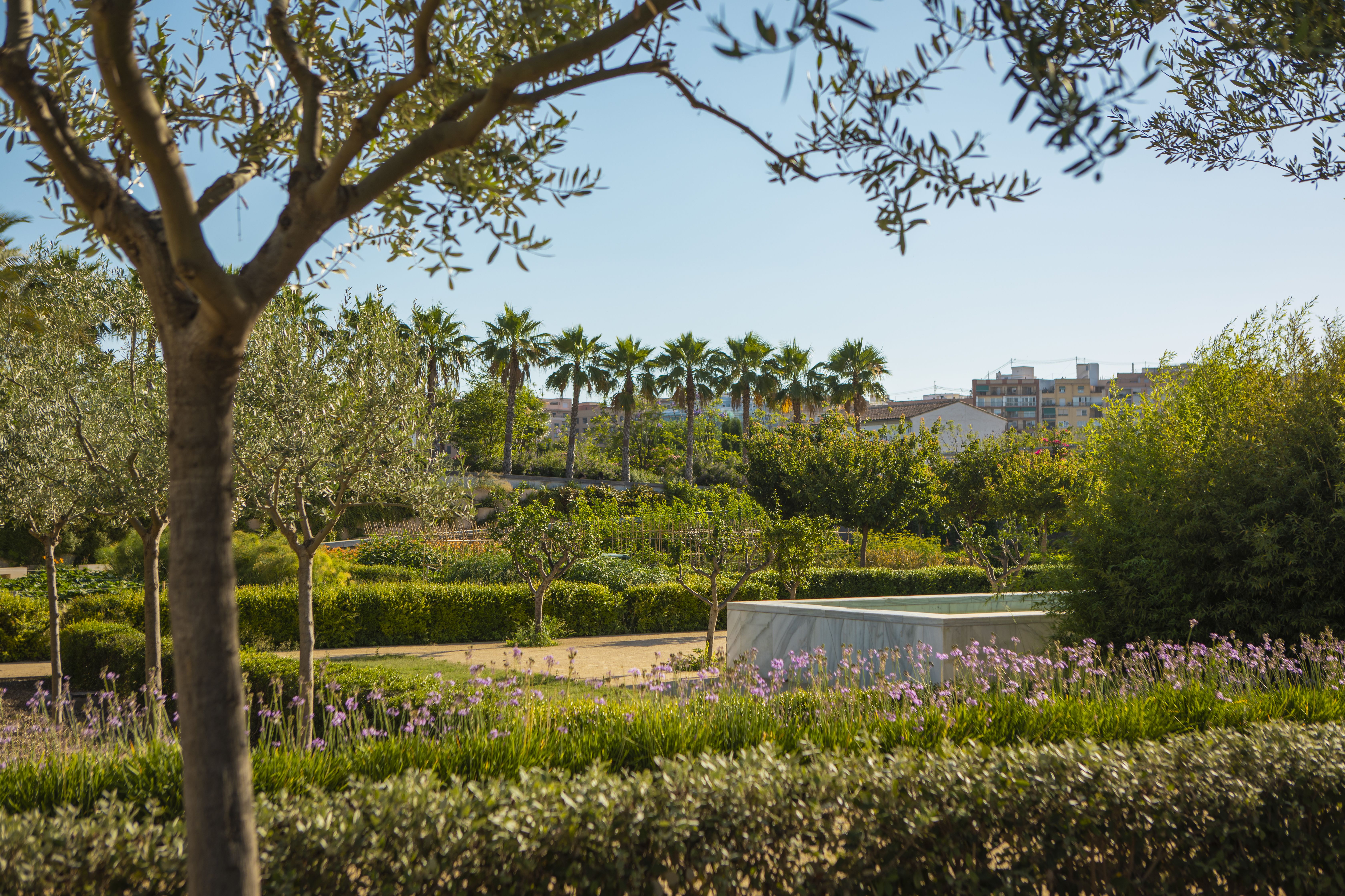 PARQUE CENTRAL.