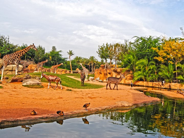 BIOPARC