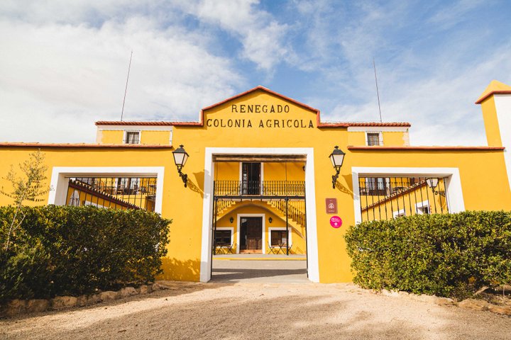 Bodegas Nodus
