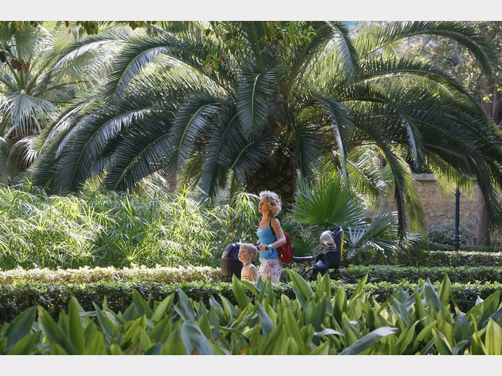 JARDÍN DE AYORA
