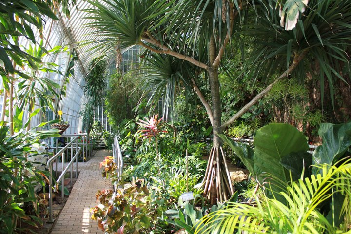 JARDÍN BOTÁNICO