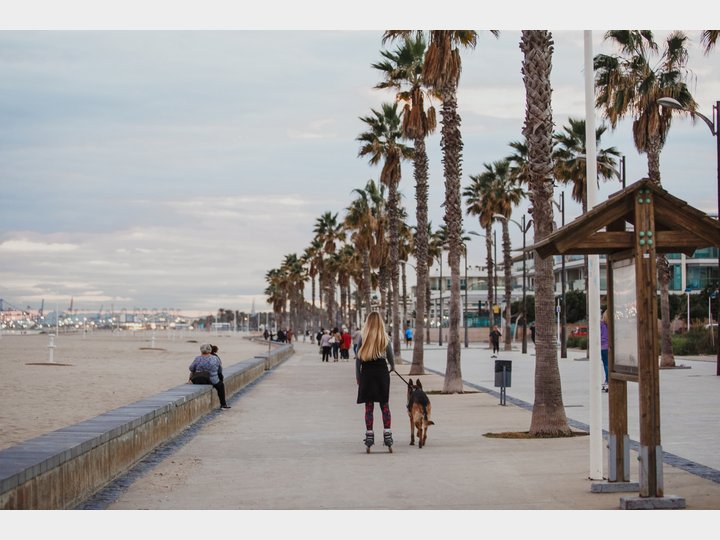 Playa PATACONA. Alboraya