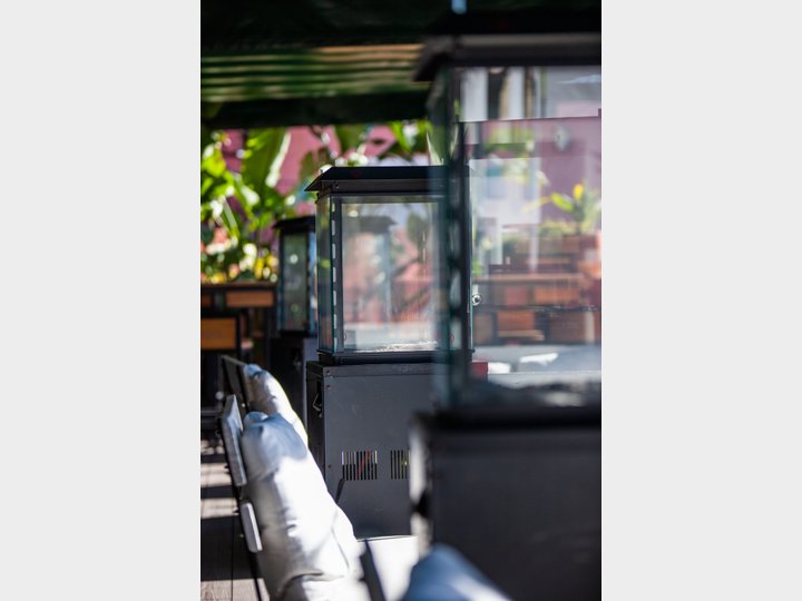 TERRAZA PURA VIDA - SEVILLA