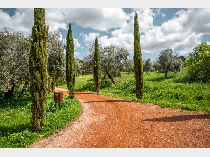 LA ALMAZARA - GREENHOUSE Y PARKING