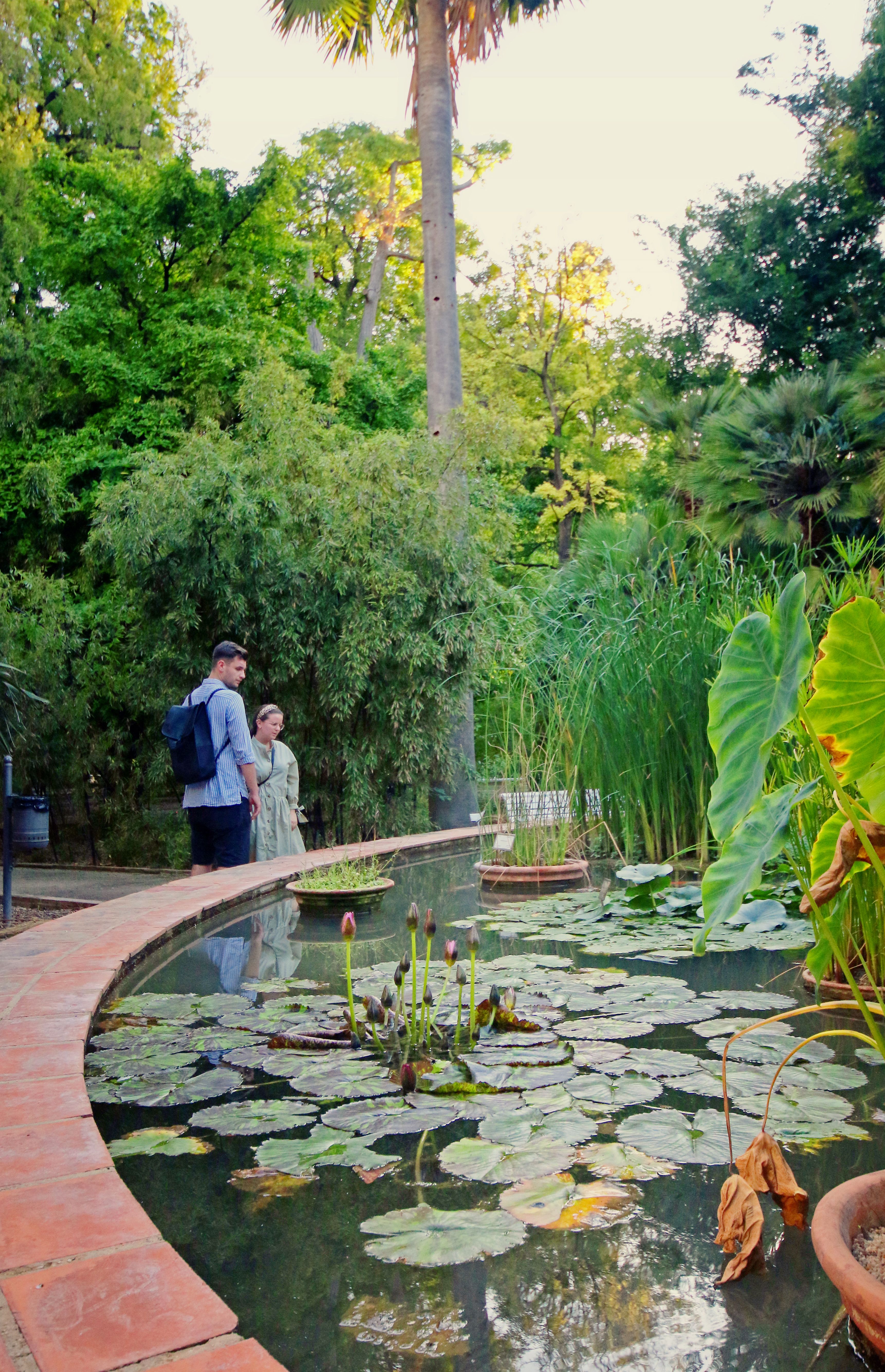 JARDINES DE MONFORTE.