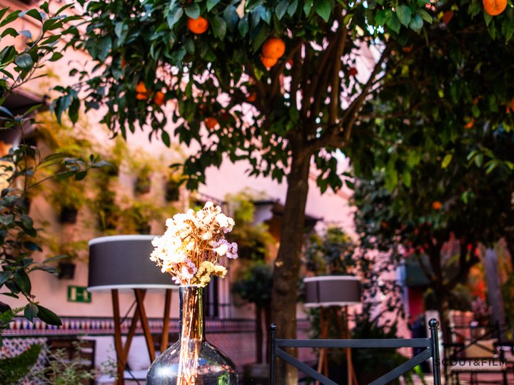 RESTAURANTE EL PATIO DEL PALI - SEVILLA