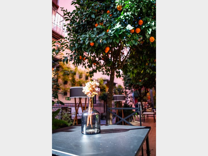 RESTAURANTE EL PATIO DEL PALI - SEVILLA