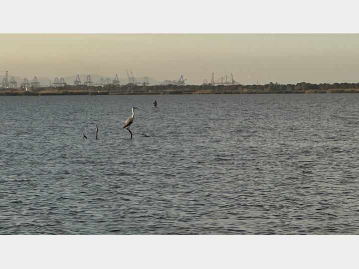 Google Drive Photo