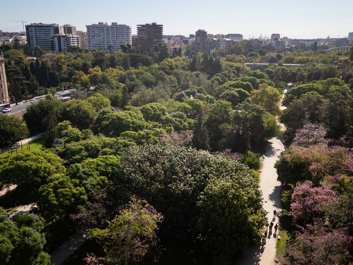 JARDINES DEL TURIA