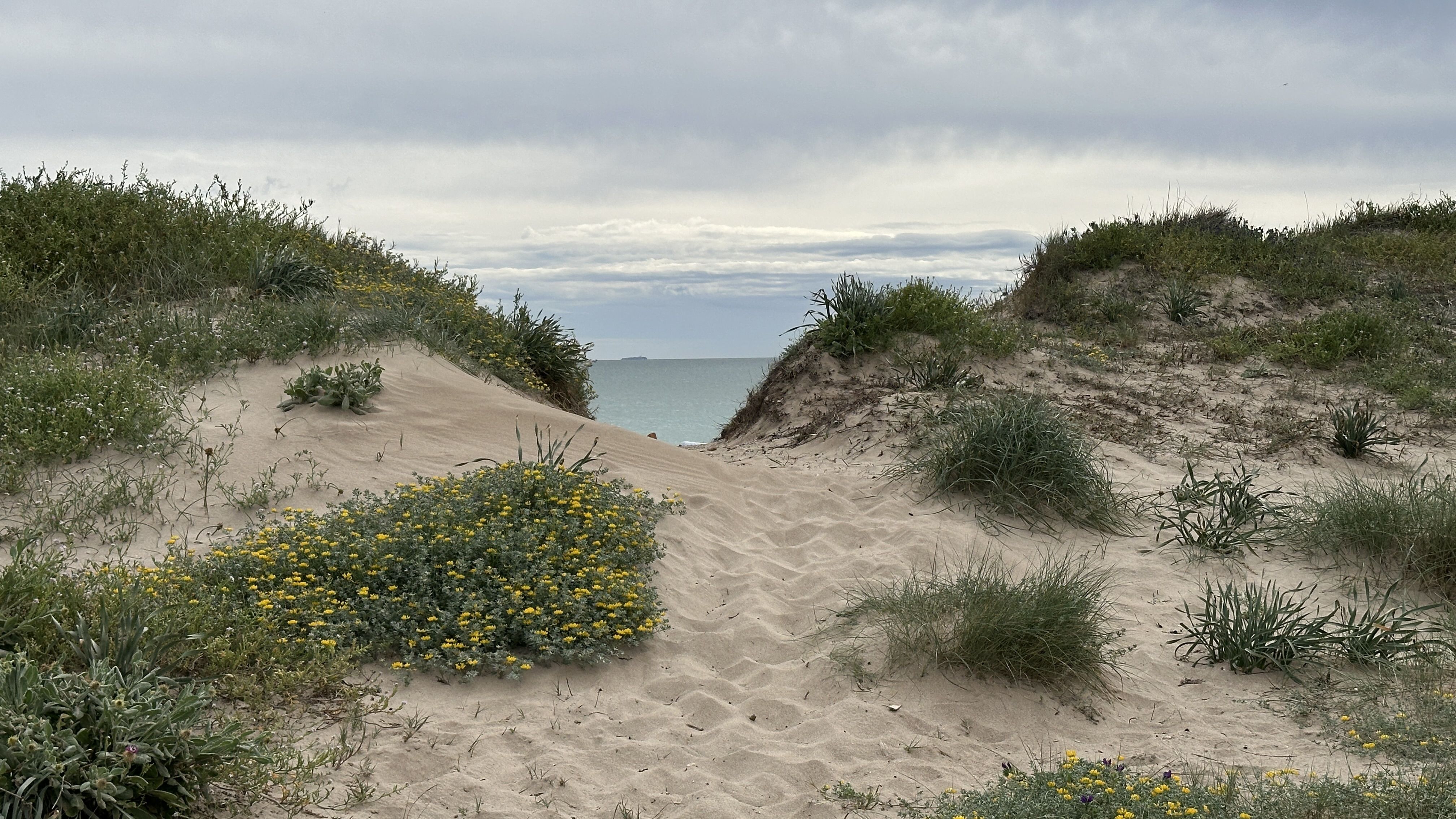 Google Drive Photo